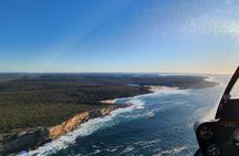 PRIVATE 35 minute Luxury Sydney Harbour Scenic Flight