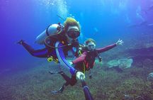 Hula Hula Island Snorkeling & 1 Diving Sea Trip & Lunch- Hurghada