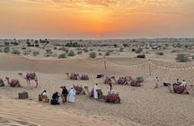 Desert Safari and Heritage Village Camp