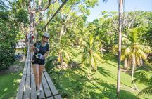 Jamaican Coastline Adventure: Horses, Dunns River Falls and Zip