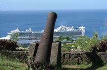 Roseau Dominica Safari Scenic: Rainforest, Falls & Karaoke