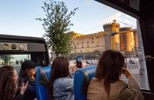 Scenic Naples Drive: City Highlights Tour