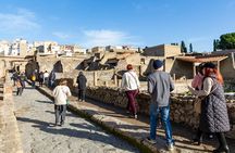 Herculaneum Skip-the-Line Guided Exevutive Tour From Naples