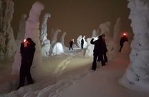 Arctic Night Snowshoeing - Stars and Northern Sky