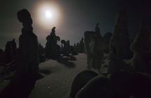 Arctic Night Snowshoeing - Stars and Northern Sky