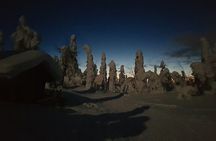 Arctic Night Snowshoeing - Stars and Northern Sky