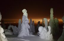 Arctic Night Snowshoeing - Stars and Northern Sky