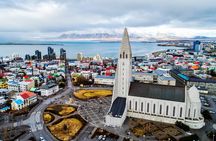 Reykjavík Platinum Tour: Heritage, Local Flavours & Perlan Museum
