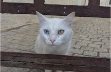 3h Private Walking Tour of Tangier: Kasbah, Medina & Souks