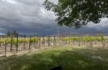 Wine Tasting Tour from Las Vegas with Snacks