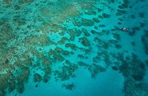 Cairns Great Barrier Reef Snorkel and Flight Adventure