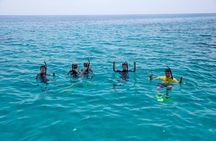 Cairns Great Barrier Reef Snorkel and Flight Adventure