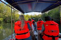 Kuching Mangrove Wildlife and Fireflies (Private Tour)