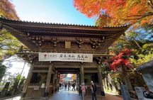 Private Mt. Takao Hike & Onsen from Shinjuku with Ex-JR Conductor