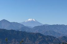 Samurai Guide Sho’s Mt. Takao Hike, Temple & Spa from Shinjuku