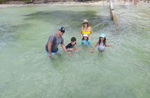 Stingray City Sandbar 4.5 hr Snorkel Tour and Seven mile Beach