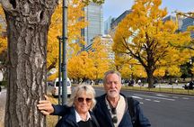 Best of Tokyo Private Tour for Yokohama Cruise Passengers