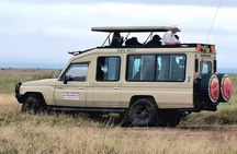Private Half day tour: Nairobi park, Elephant & Giraffe Centre 