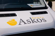 Pompeii Day Trip from Rome by High-Speed Train and Guided Tour