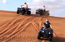 Dubai VIP Red Dunes Safari, Quad, Camel and Dinner in Desert
