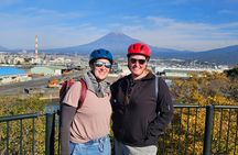 Winter Special: Clear View Mt. Fuji E-Bike Tour