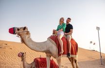 Dubai Red Dunes ATV, 4WD Dune Bashing, 5* BBQ Bassata Camp