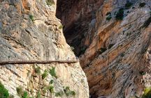 Guided Tour with Transportation from Malaga to Caminito del Rey