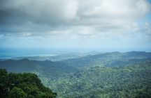 El Yunque Educational Rainforest Walk Easy and Family Friendly