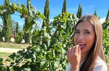 Florence Day Trip: Pisa, San Gimignano and Siena with Lunch