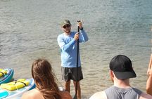 Private Eco Paddle Excursion