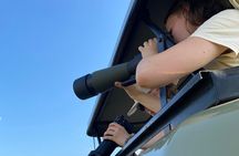 Experience the 3 Days Murchison Falls National Park Safari 