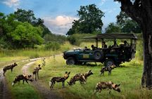 Chobe and Namibian Island Tour with Lunch from Victoria Falls