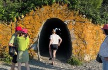 Newport Cliff Walk Guided Tour