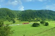 Wulong Day Trip Scenic Views Natural Bridges and Local Cuisine