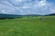 Wulong Day Trip Scenic Views Natural Bridges and Local Cuisine