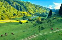 Wulong Day Trip Scenic Views Natural Bridges and Local Cuisine