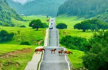 Wulong Day Trip Scenic Views Natural Bridges and Local Cuisine