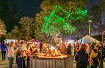 Charleston Festival of Lights with Small Group Transportation
