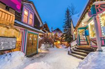 Breckenridge & Continental Divide - Private Tour