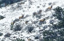 Rocky Mountain Escape - Private Tour