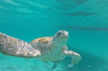 Shasa Catamaran Cruises Limited Numbers 3 Hour Sail and Snorkel