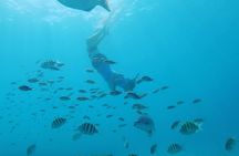 Shasa Catamaran Cruises Limited Numbers 3 Hour Sail and Snorkel