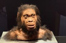 The Cradle of Humankind tour, Sterkfontein caves and Maropeng 