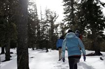 Rocky Mountain National Park - Private Hiking Tour