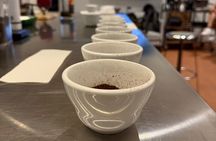 Geisha Coffee Tasting Panamas Liquid Gold Experience