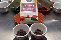 Geisha Coffee Tasting Panamas Liquid Gold Experience