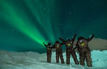 AURORA DAİLY Northern Lights Safari Tour 8Guest FREE photo+PİCKUP