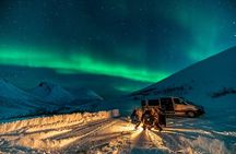 AURORA DAİLY Northern Lights Safari Tour 8Guest FREE photo+PİCKUP