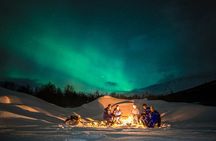 AURORA DAİLY Northern Lights Safari Tour 8Guest FREE photo+PİCKUP