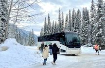 Winter Trip: Lake Louise, Marble Canyon, Emerald Lake, Banff